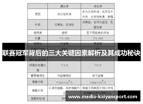 联赛冠军背后的三大关键因素解析及其成功秘诀