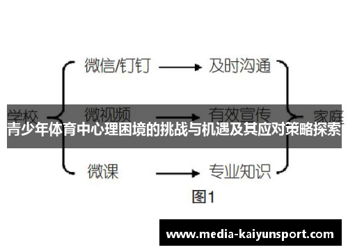 青少年体育中心理困境的挑战与机遇及其应对策略探索