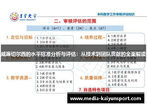 威廉切尔西的水平标准分析与评估：从技术到团队贡献的全面解读